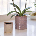 Pink Plant Pot
