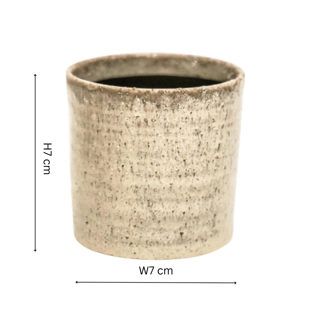 Cream Plant Pot